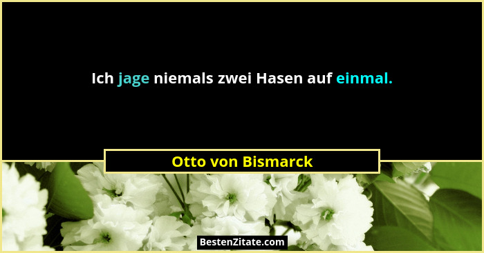 Ich jage niemals zwei Hasen auf einmal.... - Otto von Bismarck