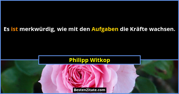 Es ist merkwürdig, wie mit den Aufgaben die Kräfte wachsen.... - Philipp Witkop