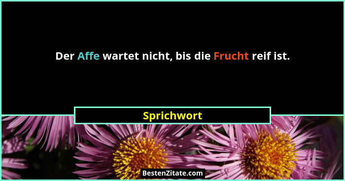 Der Affe wartet nicht, bis die Frucht reif ist.... - Sprichwort