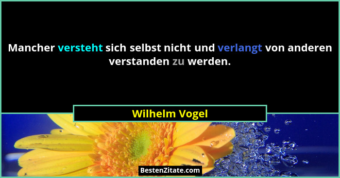 Mancher versteht sich selbst nicht und verlangt von anderen verstanden zu werden.... - Wilhelm Vogel