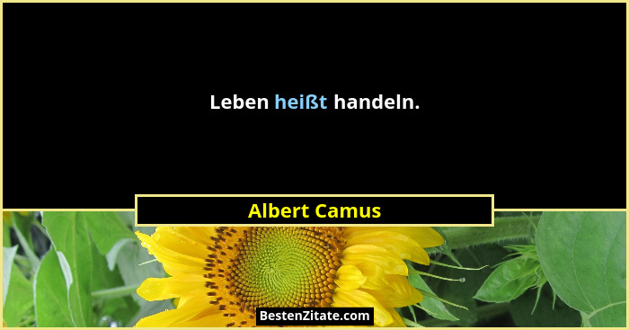 Leben heißt handeln.... - Albert Camus