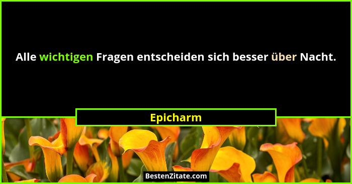 Alle wichtigen Fragen entscheiden sich besser über Nacht.... - Epicharm