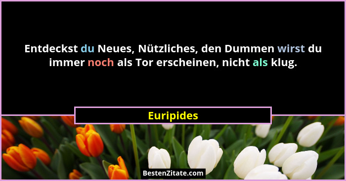 Entdeckst du Neues, Nützliches, den Dummen wirst du immer noch als Tor erscheinen, nicht als klug.... - Euripides
