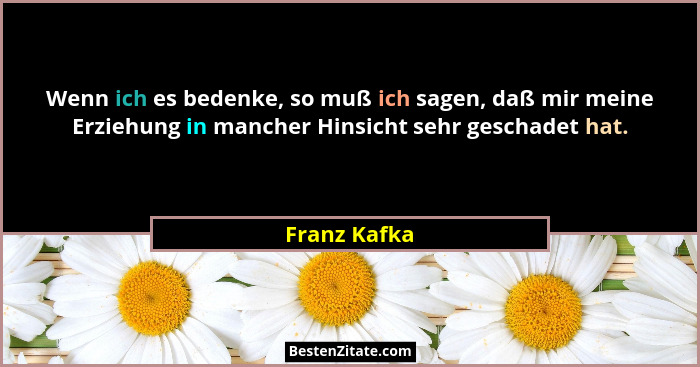 Wenn ich es bedenke, so muß ich sagen, daß mir meine Erziehung in mancher Hinsicht sehr geschadet hat.... - Franz Kafka