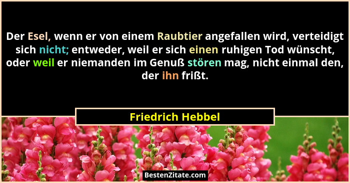 Der Esel, wenn er von einem Raubtier angefallen wird, verteidigt sich nicht; entweder, weil er sich einen ruhigen Tod wünscht, oder... - Friedrich Hebbel