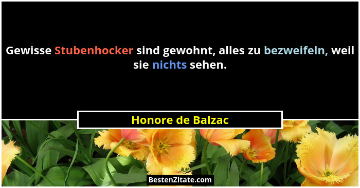 Gewisse Stubenhocker sind gewohnt, alles zu bezweifeln, weil sie nichts sehen.... - Honore de Balzac