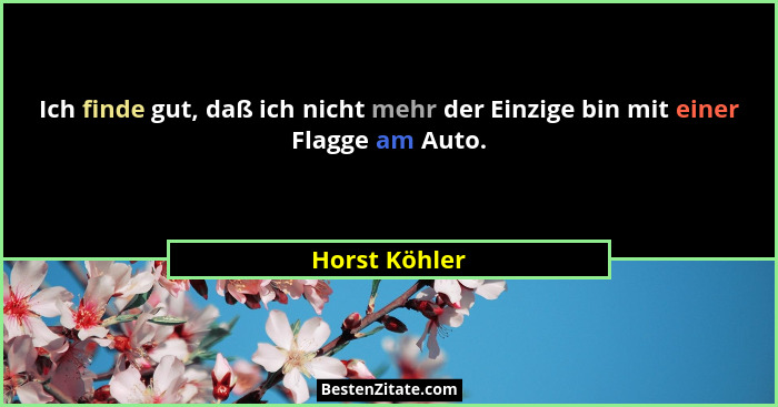 Ich finde gut, daß ich nicht mehr der Einzige bin mit einer Flagge am Auto.... - Horst Köhler