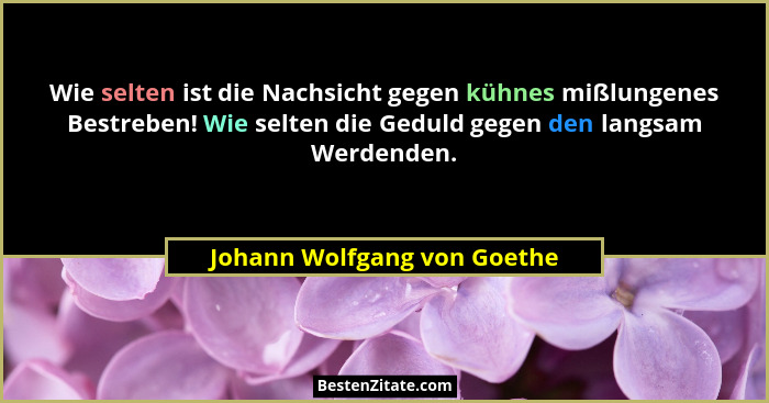 Wie selten ist die Nachsicht gegen kühnes mißlungenes Bestreben! Wie selten die Geduld gegen den langsam Werdenden.... - Johann Wolfgang von Goethe