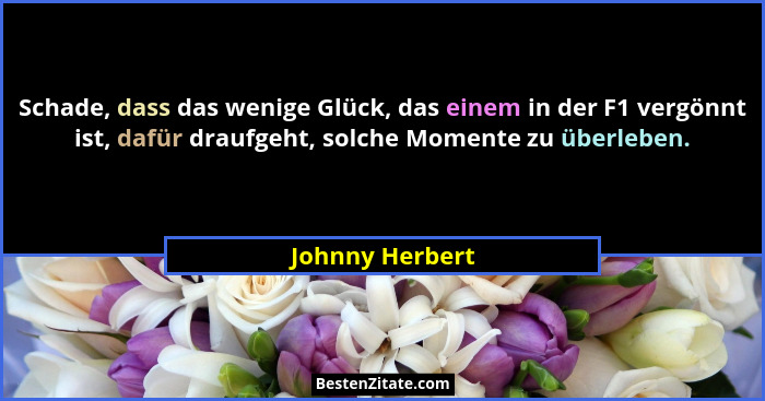 Schade, dass das wenige Glück, das einem in der F1 vergönnt ist, dafür draufgeht, solche Momente zu überleben.... - Johnny Herbert