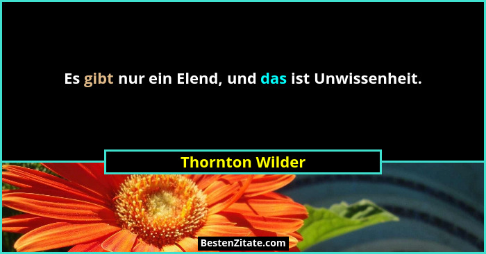 Es gibt nur ein Elend, und das ist Unwissenheit.... - Thornton Wilder