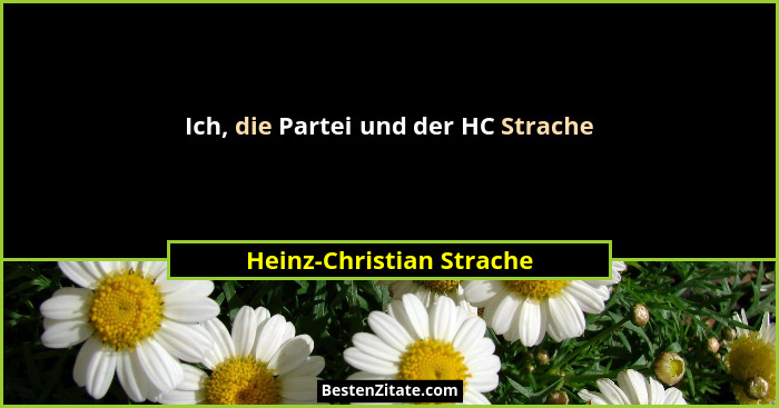 Ich, die Partei und der HC Strache... - Heinz-Christian Strache
