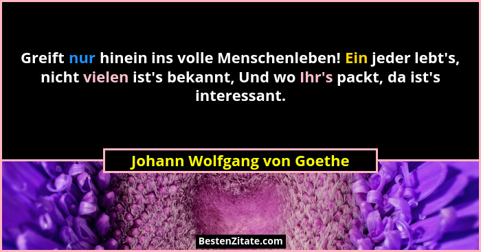 Greift nur hinein ins volle Menschenleben! Ein jeder lebt's, nicht vielen ist's bekannt, Und wo Ihr's packt,... - Johann Wolfgang von Goethe