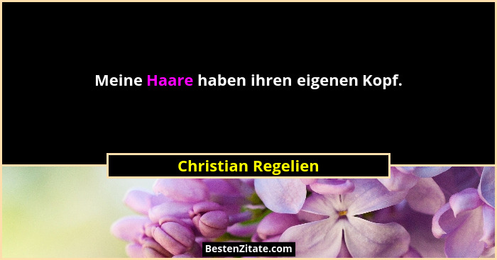 Meine Haare haben ihren eigenen Kopf.... - Christian Regelien