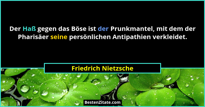Der Haß gegen das Böse ist der Prunkmantel, mit dem der Pharisäer seine persönlichen Antipathien verkleidet.... - Friedrich Nietzsche