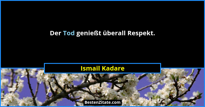 Der Tod genießt überall Respekt.... - Ismail Kadare
