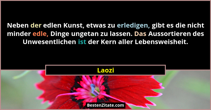 Neben der edlen Kunst, etwas zu erledigen, gibt es die nicht minder edle, Dinge ungetan zu lassen. Das Aussortieren des Unwesentlichen ist der... - Laozi