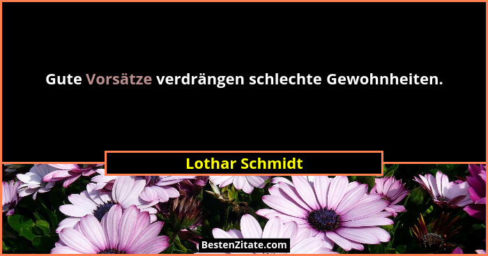 Gute Vorsätze verdrängen schlechte Gewohnheiten.... - Lothar Schmidt