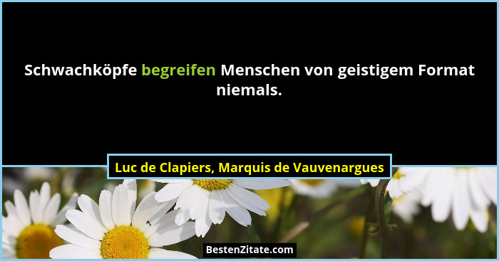 Schwachköpfe begreifen Menschen von geistigem Format niemals.... - Luc de Clapiers, Marquis de Vauvenargues