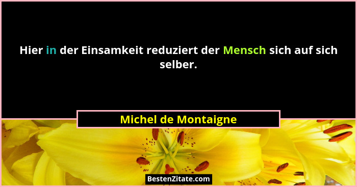 Hier in der Einsamkeit reduziert der Mensch sich auf sich selber.... - Michel de Montaigne