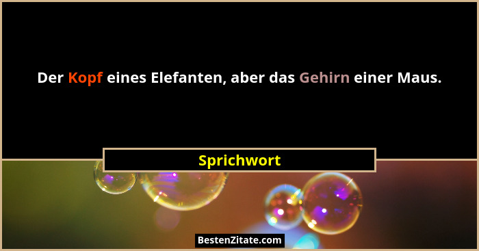 Der Kopf eines Elefanten, aber das Gehirn einer Maus.... - Sprichwort