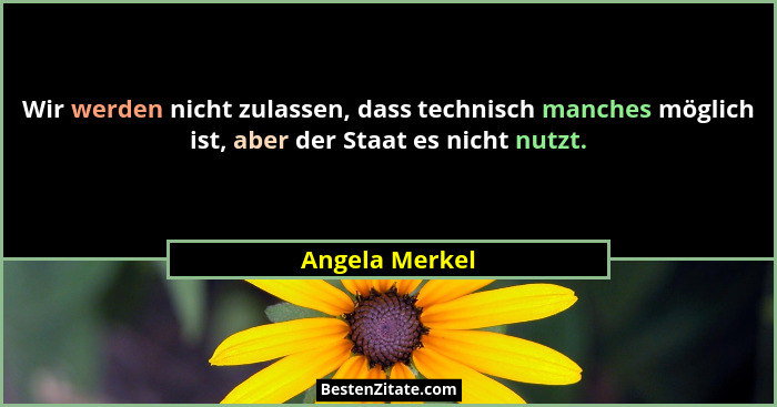 Wir werden nicht zulassen, dass technisch manches möglich ist, aber der Staat es nicht nutzt.... - Angela Merkel