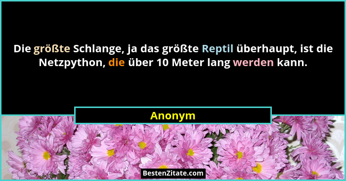 Die größte Schlange, ja das größte Reptil überhaupt, ist die Netzpython, die über 10 Meter lang werden kann.... - Anonym