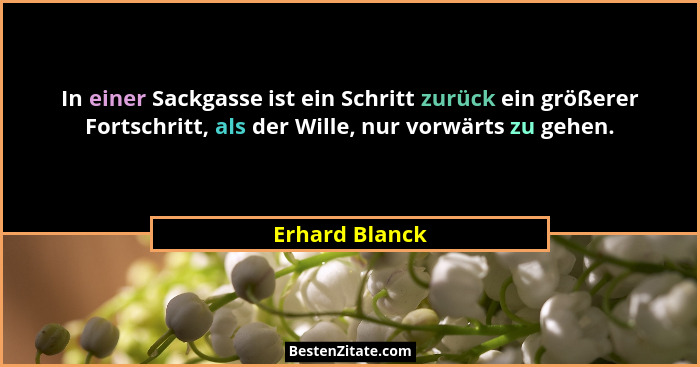 In einer Sackgasse ist ein Schritt zurück ein größerer Fortschritt, als der Wille, nur vorwärts zu gehen.... - Erhard Blanck