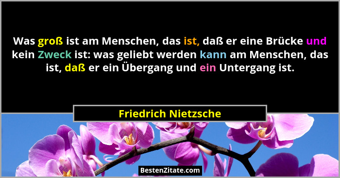 Was groß ist am Menschen, das ist, daß er eine Brücke und kein Zweck ist: was geliebt werden kann am Menschen, das ist, daß er e... - Friedrich Nietzsche