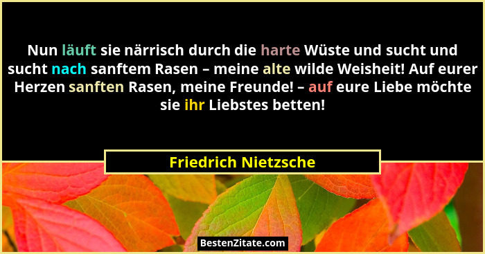 Nun läuft sie närrisch durch die harte Wüste und sucht und sucht nach sanftem Rasen – meine alte wilde Weisheit! Auf eurer Herze... - Friedrich Nietzsche