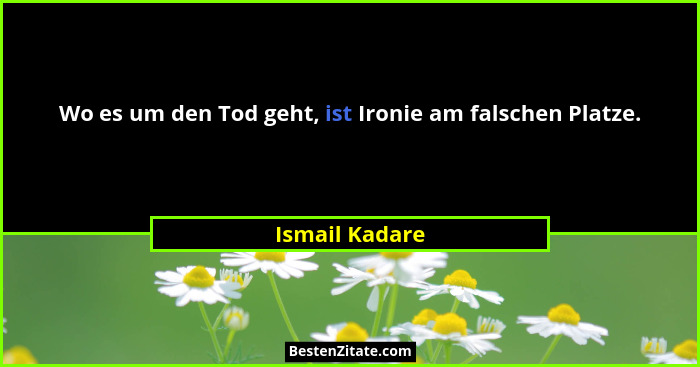 Wo es um den Tod geht, ist Ironie am falschen Platze.... - Ismail Kadare