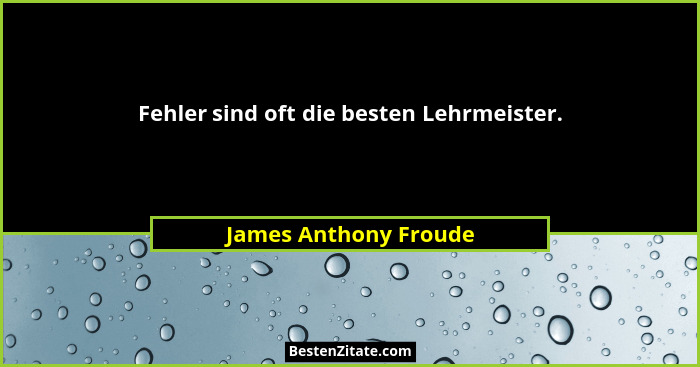 Fehler sind oft die besten Lehrmeister.... - James Anthony Froude