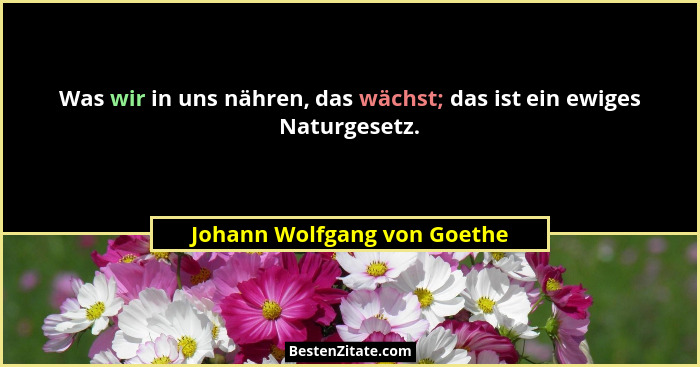 Was wir in uns nähren, das wächst; das ist ein ewiges Naturgesetz.... - Johann Wolfgang von Goethe