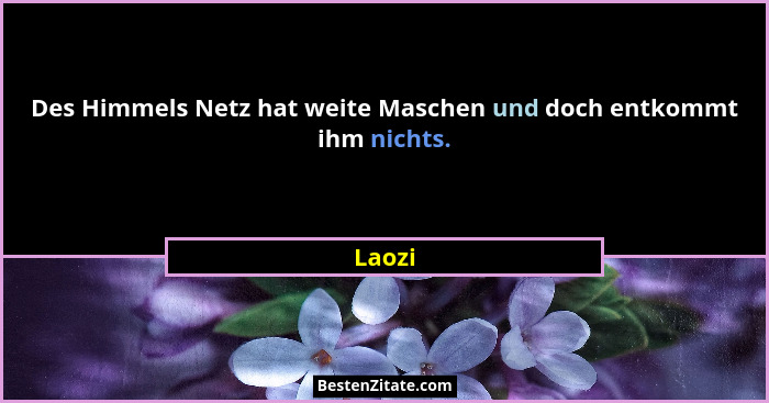 Des Himmels Netz hat weite Maschen und doch entkommt ihm nichts.... - Laozi
