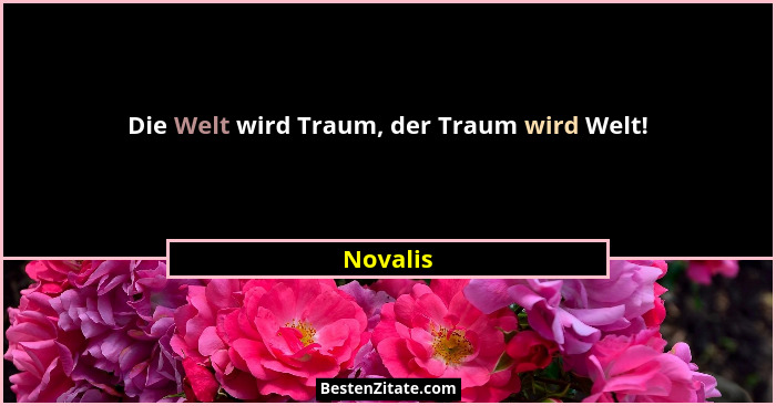 Die Welt wird Traum, der Traum wird Welt!... - Novalis