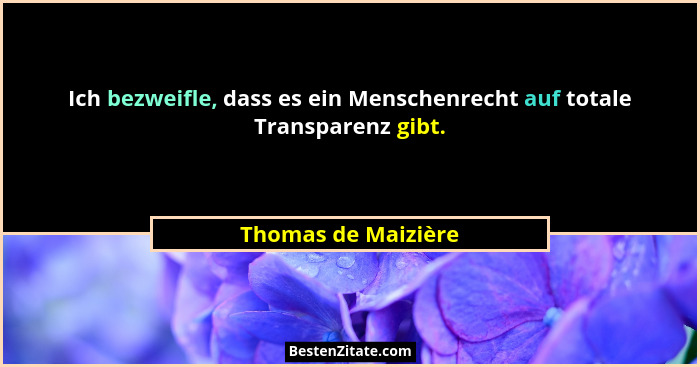Ich bezweifle, dass es ein Menschenrecht auf totale Transparenz gibt.... - Thomas de Maizière