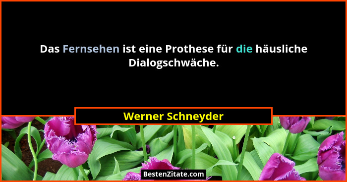 Das Fernsehen ist eine Prothese für die häusliche Dialogschwäche.... - Werner Schneyder