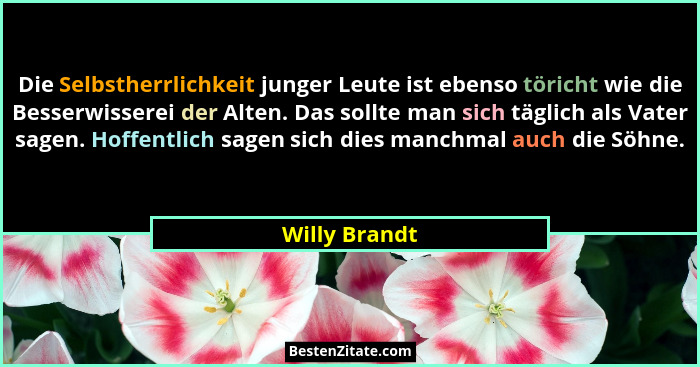Die Selbstherrlichkeit junger Leute ist ebenso töricht wie die Besserwisserei der Alten. Das sollte man sich täglich als Vater sagen. H... - Willy Brandt