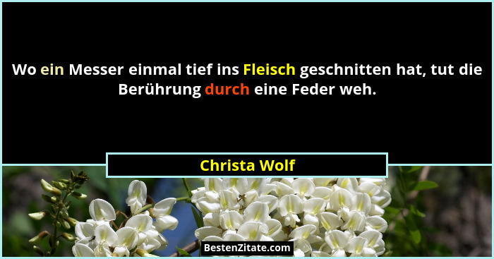 Wo ein Messer einmal tief ins Fleisch geschnitten hat, tut die Berührung durch eine Feder weh.... - Christa Wolf