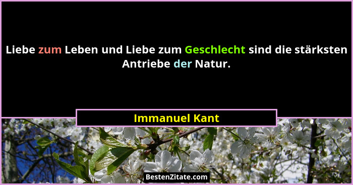 Liebe zum Leben und Liebe zum Geschlecht sind die stärksten Antriebe der Natur.... - Immanuel Kant