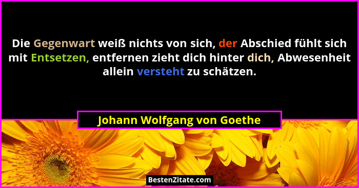 Die Gegenwart weiß nichts von sich, der Abschied fühlt sich mit Entsetzen, entfernen zieht dich hinter dich, Abwesenheit... - Johann Wolfgang von Goethe