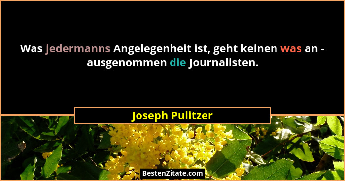 Was jedermanns Angelegenheit ist, geht keinen was an - ausgenommen die Journalisten.... - Joseph Pulitzer