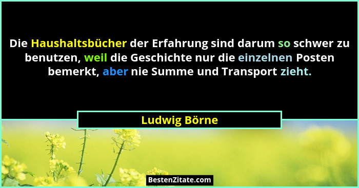 Die Haushaltsbücher der Erfahrung sind darum so schwer zu benutzen, weil die Geschichte nur die einzelnen Posten bemerkt, aber nie Summ... - Ludwig Börne