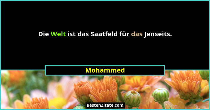 Die Welt ist das Saatfeld für das Jenseits.... - Mohammed
