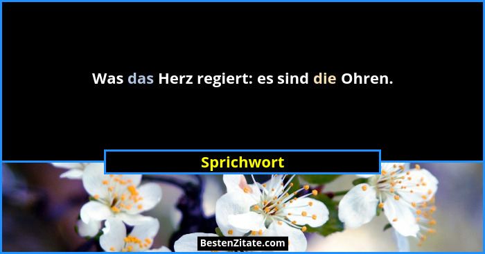 Was das Herz regiert: es sind die Ohren.... - Sprichwort