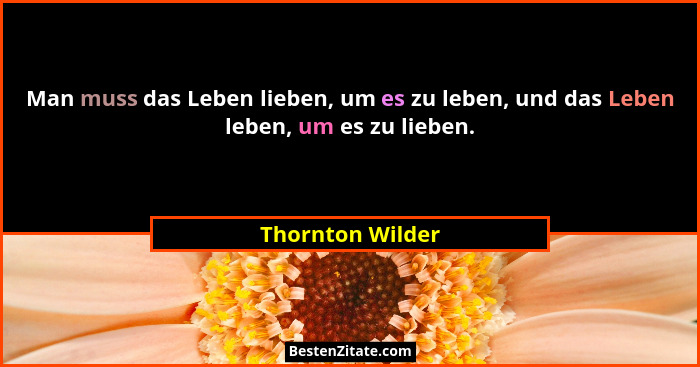 Man muss das Leben lieben, um es zu leben, und das Leben leben, um es zu lieben.... - Thornton Wilder