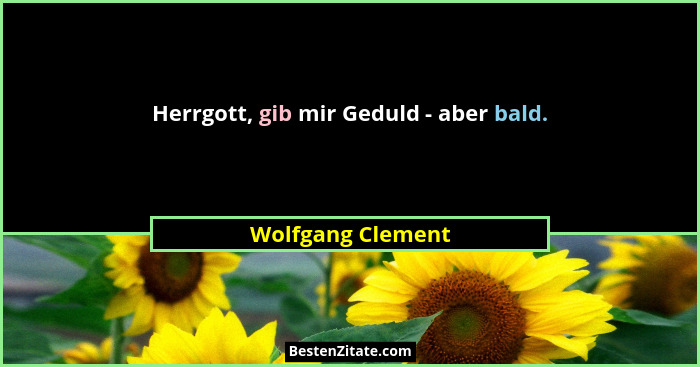 Herrgott, gib mir Geduld - aber bald.... - Wolfgang Clement