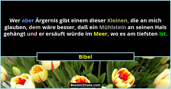 Wer aber Ärgernis gibt einem dieser Kleinen, die an mich glauben, dem wäre besser, daß ein Mühlstein an seinen Hals gehängt und er ersäuft wür... - Bibel