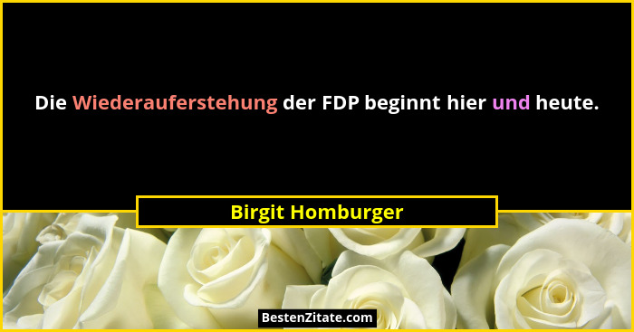 Die Wiederauferstehung der FDP beginnt hier und heute.... - Birgit Homburger