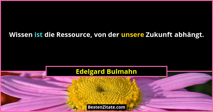 Wissen ist die Ressource, von der unsere Zukunft abhängt.... - Edelgard Bulmahn