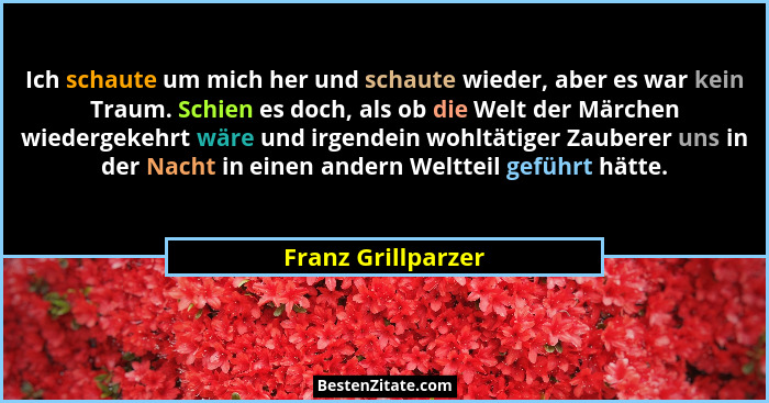 Ich schaute um mich her und schaute wieder, aber es war kein Traum. Schien es doch, als ob die Welt der Märchen wiedergekehrt wäre... - Franz Grillparzer